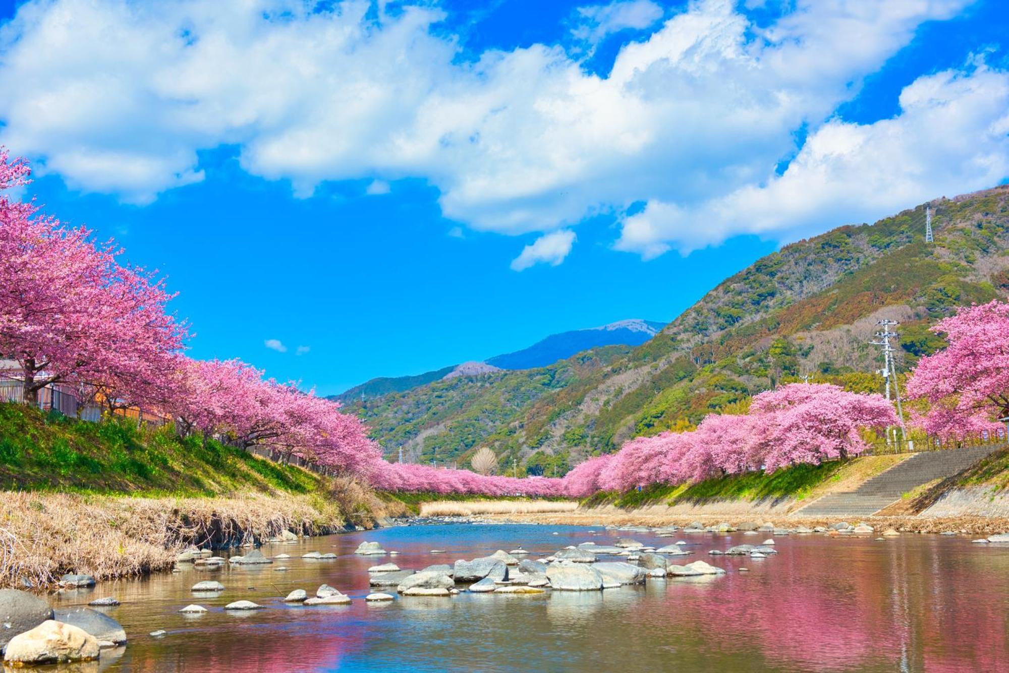 Ramjet Kisami Beach House Shimoda - Enjoy Sakura, Beach And Bbq! Dış mekan fotoğraf